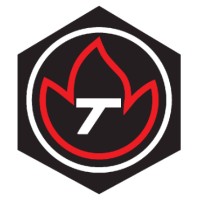 Tecnoservice Engineering SA Logo