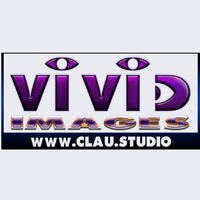 Vivid Images Logo