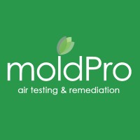 MoldPro Logo