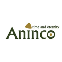 Aninco - Time & Eternity Logo