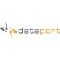 Dataport Bilişim Hizmetleri Logo