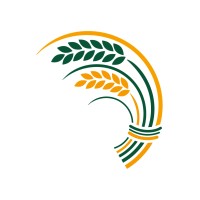 Cheshire East Council Logo