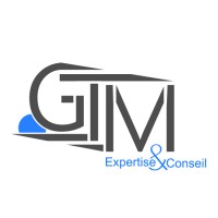 GTM Expertise & Conseil Logo