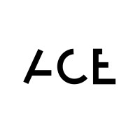 The ACE bag Logo