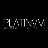 PLATINUM MEDIA LLC Logo