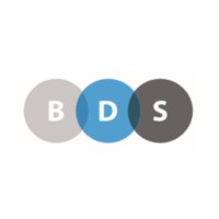 BDS Consulting Logo