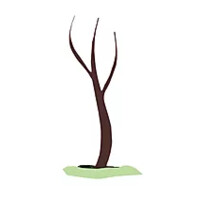 NOA Psikolojik Danışmanlık Merkezi Logo