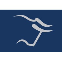 BullMark Investimentos Logo