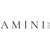 Amini LLC Logo