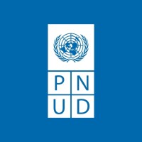 PNUD Paraguay Logo