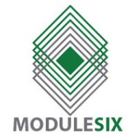 ModuleSix Logo