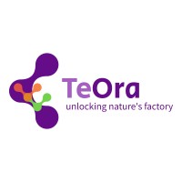 TeOra Logo