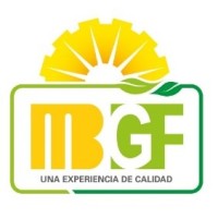 MEBOL Logo