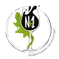 N+1 Logo