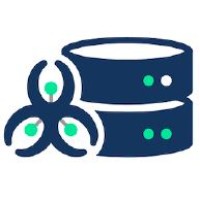 NAICONS Srl Logo