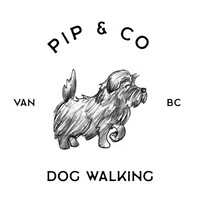 Pip and Company Logo