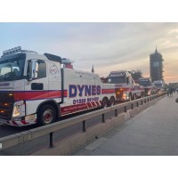 Dynes Motor Group Logo