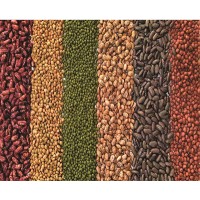 Simlaw Seeds Company Ltd Logo
