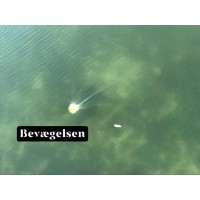 Bevægelsen Logo