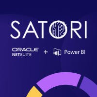 Satori Reporting Logo