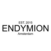 ENDYMION Consultants B.V. Logo