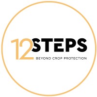 12Steps Logo