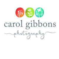 Carol Gibbons Photography Logo