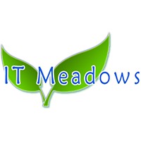 IT Meadows Logo