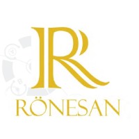 Rönesan Araştırma Teknoloji Geliştirme Elektronik LTD. ŞTİ. Logo