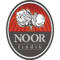 Noor Fındık Sanayi ve Ticaret A.Ş. Logo
