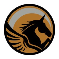 FLI.Social Logo