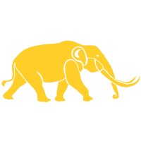Gold Mast Consulting, LLC Logo