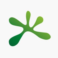 Squid Fácil Logo