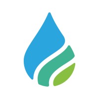 SpringTide Holdings Logo