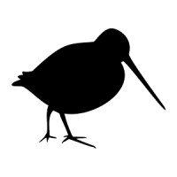 Remy-Woodcock Logo