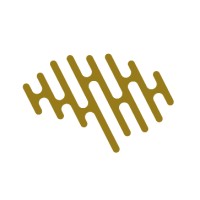 Digital Mastermind Group Logo
