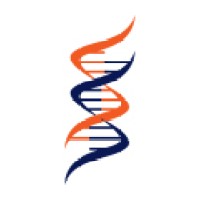 Integrity and Values Logo