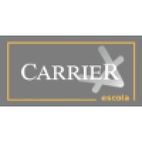 Pc Carrier Logo