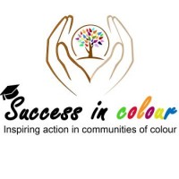 Success In Colour Logo