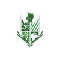 Bello Verde Logo