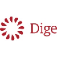 Dige - Mobile and Web Software Development House Logo