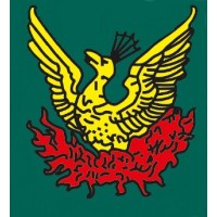 Phoenix Transport Logo