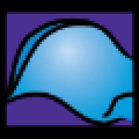 Biomechanical Services Logo