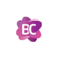 BestCredit.ee Logo