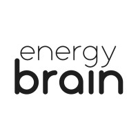 Energy Brain Logo