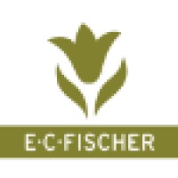 E.C. Fischer AG Logo