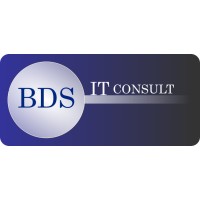 BDS IT Consult Logo