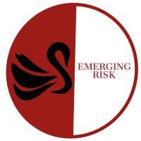 Emerging Risk LLC Logo