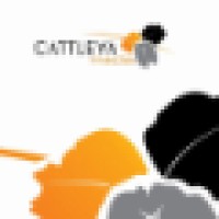 Cattleya Media Logo