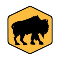 buffaBRAND Marketing Logo